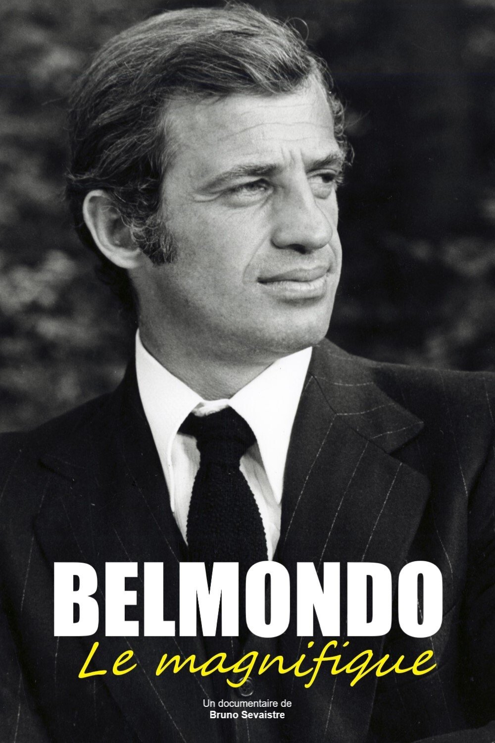 Постер Belmondo, le magnifique